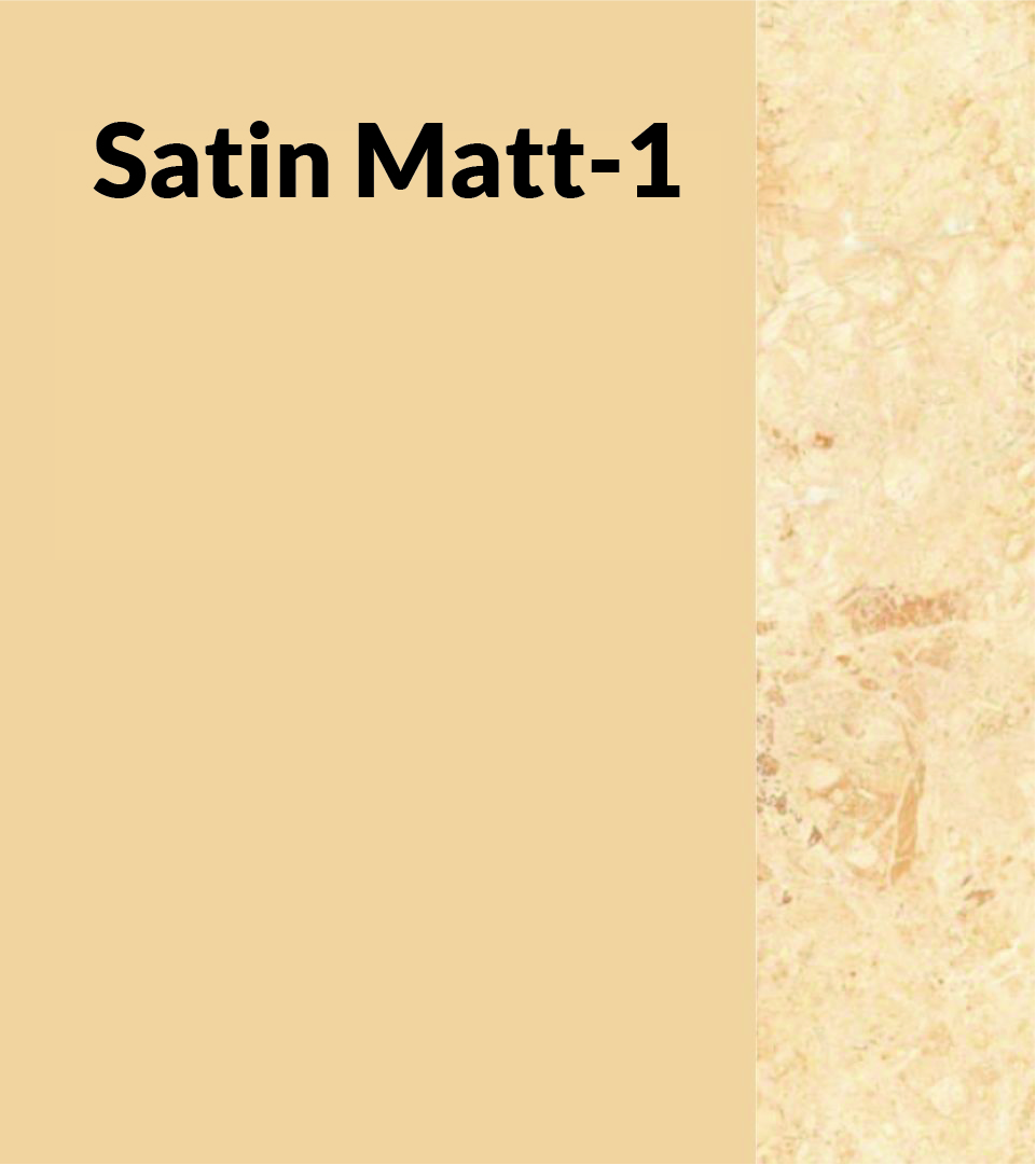 Catalogue